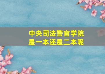 中央司法警官学院是一本还是二本呢