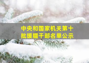 中央和国家机关第十批援疆干部名单公示