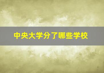 中央大学分了哪些学校