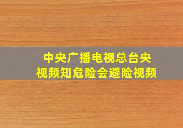 中央广播电视总台央视频知危险会避险视频