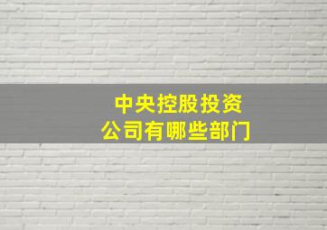 中央控股投资公司有哪些部门