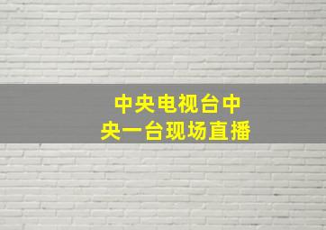 中央电视台中央一台现场直播