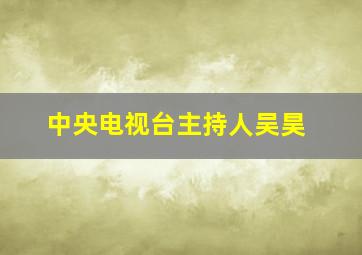 中央电视台主持人吴昊