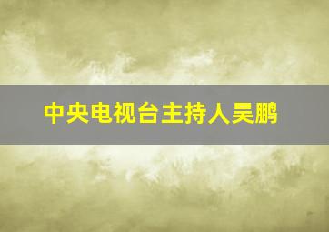 中央电视台主持人吴鹏