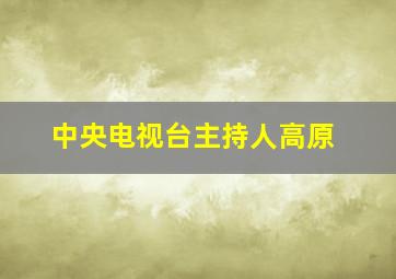 中央电视台主持人高原