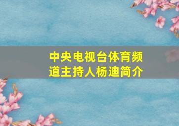 中央电视台体育频道主持人杨迪简介