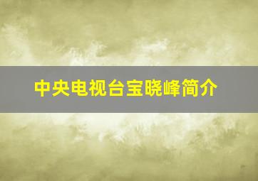 中央电视台宝晓峰简介