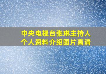 中央电视台张琳主持人个人资料介绍图片高清