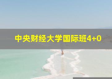 中央财经大学国际班4+0