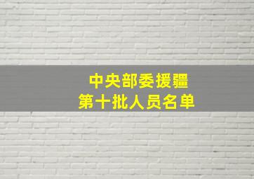 中央部委援疆第十批人员名单