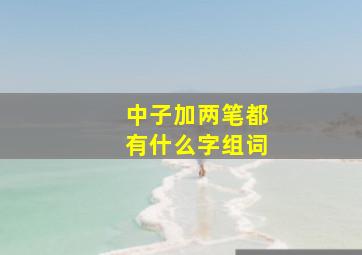 中子加两笔都有什么字组词