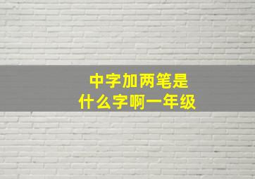 中字加两笔是什么字啊一年级