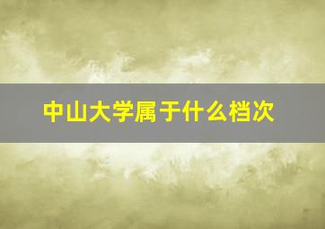 中山大学属于什么档次