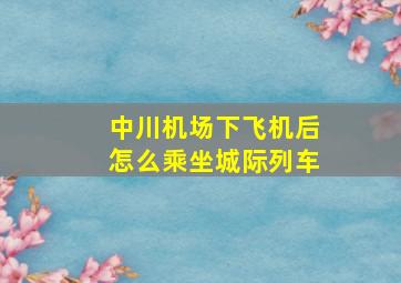 中川机场下飞机后怎么乘坐城际列车