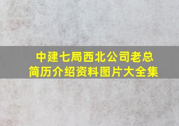 中建七局西北公司老总简历介绍资料图片大全集