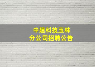 中建科技玉林分公司招聘公告