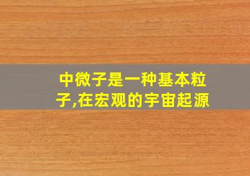 中微子是一种基本粒子,在宏观的宇宙起源