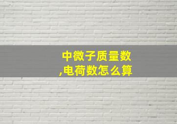 中微子质量数,电荷数怎么算