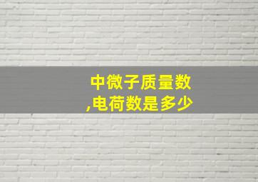 中微子质量数,电荷数是多少