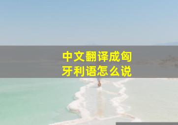 中文翻译成匈牙利语怎么说