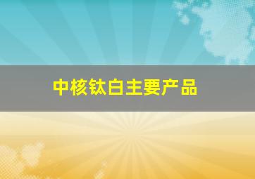 中核钛白主要产品