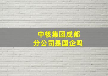 中核集团成都分公司是国企吗