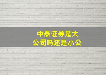 中泰证券是大公司吗还是小公