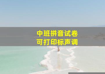 中班拼音试卷可打印标声调