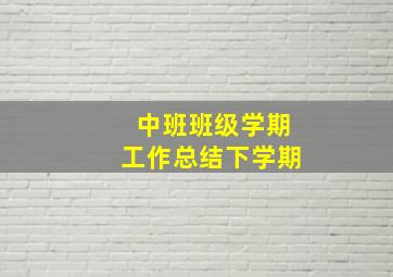 中班班级学期工作总结下学期