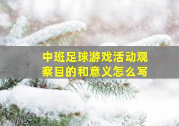 中班足球游戏活动观察目的和意义怎么写