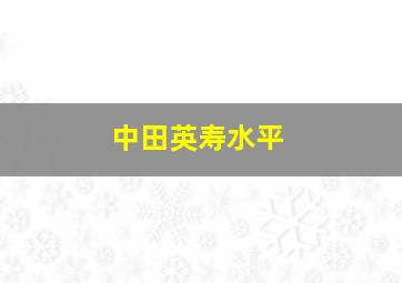 中田英寿水平