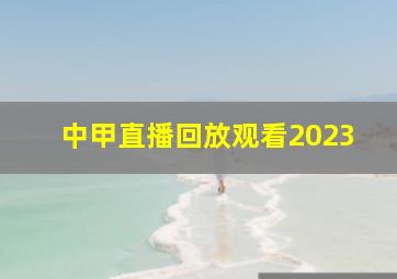 中甲直播回放观看2023