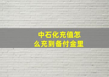 中石化充值怎么充到备付金里