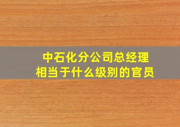 中石化分公司总经理相当于什么级别的官员