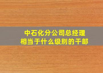 中石化分公司总经理相当于什么级别的干部