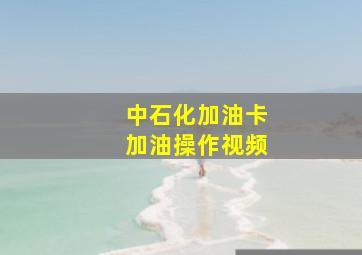 中石化加油卡加油操作视频