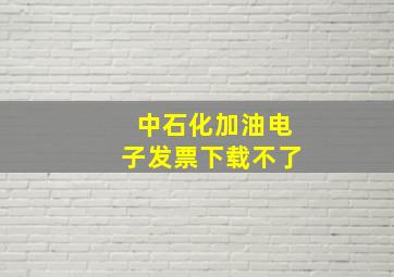 中石化加油电子发票下载不了