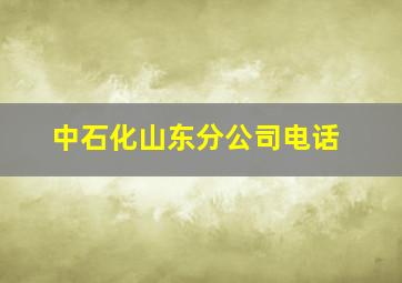 中石化山东分公司电话