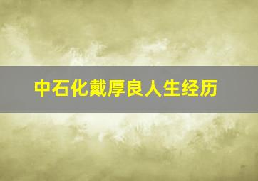 中石化戴厚良人生经历