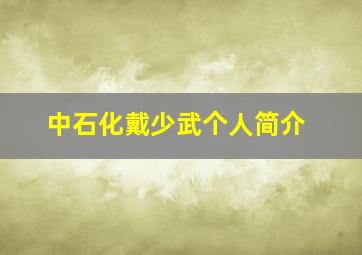 中石化戴少武个人简介