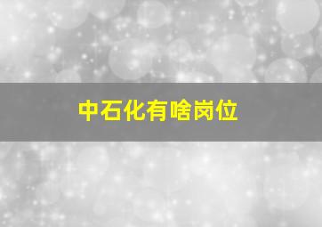 中石化有啥岗位