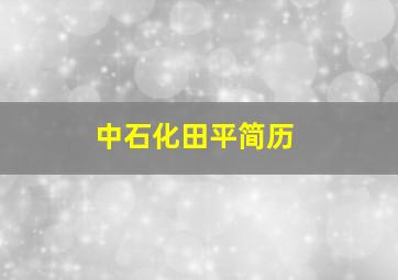 中石化田平简历