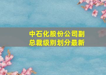 中石化股份公司副总裁级别划分最新