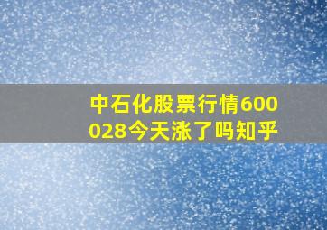 中石化股票行情600028今天涨了吗知乎