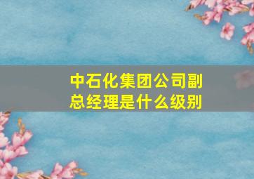 中石化集团公司副总经理是什么级别