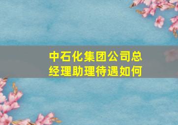 中石化集团公司总经理助理待遇如何