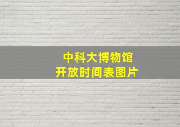 中科大博物馆开放时间表图片