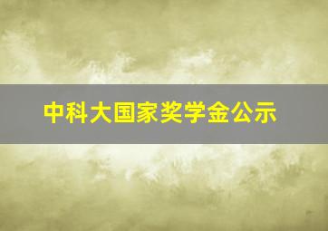 中科大国家奖学金公示