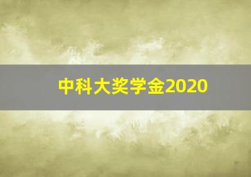 中科大奖学金2020