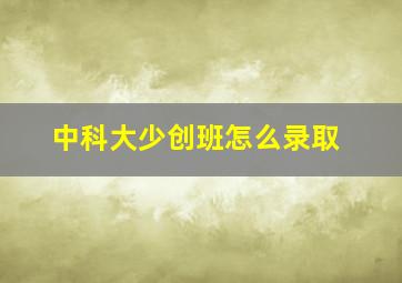 中科大少创班怎么录取